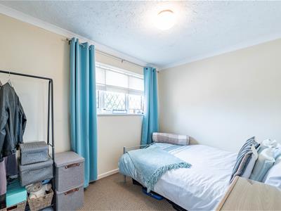Picture 21